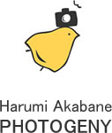Harumi Akabane PHOTOGENY
